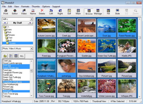 easily browse and select photos for printing